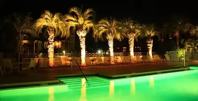 landscape lighting installation services illuminating outdoor recreational areas in Escondido, CA
